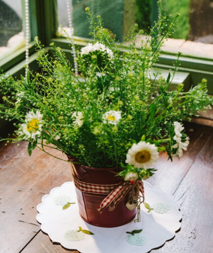 Custard Apple - Coaster
