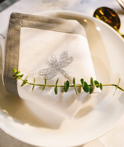 Dragonfly - Placemat & Napkin